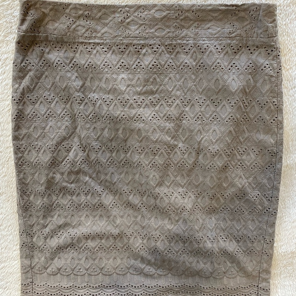 Ann Taylor Women’s Skirt size 6